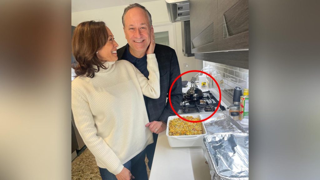 Kamala Faces Backlash for Using Gas Stove on Thanksgiving While Pushing ...